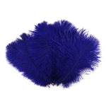 Ostrich Feather (Regal Purple)