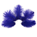 Pluma de avestruz (púrpura real)