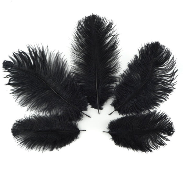 Ostrich Feather (Black)