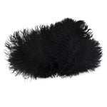 Ostrich Feather (Black)