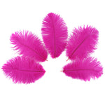 Ostrich Feather (Shocking Pink)