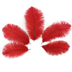 Ostrich Feather (Red)