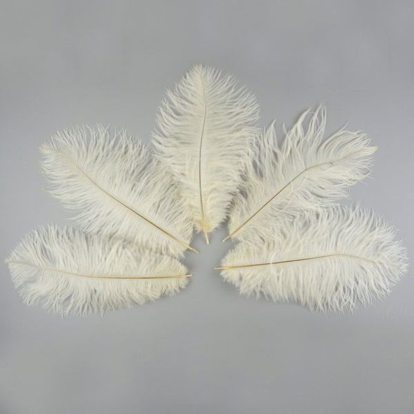 Ostrich Feather (Ivory)