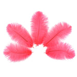 Ostrich Feather (Hot Pink)