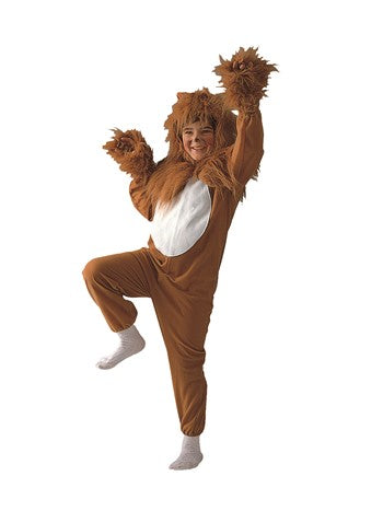 Lion Costume (Child)