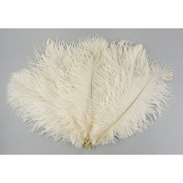 Ostrich Feather (Ivory)