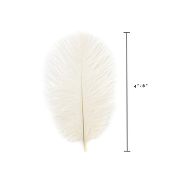 Ostrich Feather (Ivory)