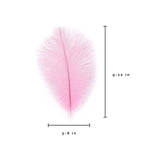 Ostrich Feather (Light Pink)