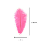 Ostrich Feather (Hot Pink)