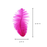 Ostrich Feather (Shocking Pink)