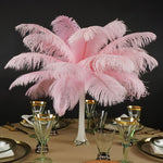 Ostrich Feather (Light Pink)