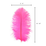 Ostrich Feather (Hot Pink)