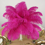 Ostrich Feather (Shocking Pink)