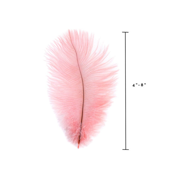 Ostrich Feather (Light Pink)