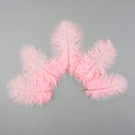 Ostrich Feather (Light Pink)