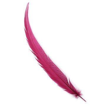 Pheasant Feather