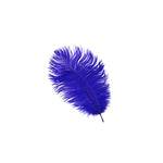 Pluma de avestruz (púrpura real)