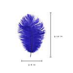 Pluma de avestruz (púrpura real)