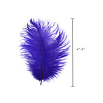 Pluma de avestruz (púrpura real)