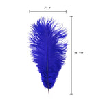 Pluma de avestruz (púrpura real)