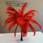 Ostrich Feather (Red)