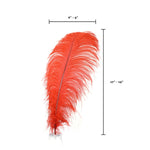 Ostrich Feather (Red)