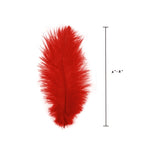 Ostrich Feather (Red)