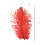 Ostrich Feather (Red)