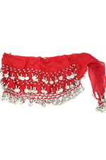 Belly Dance Silver Coin Hip Scarf