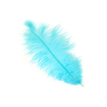 Ostrich Feather (Light Turquoise)