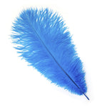 Ostrich Feather (Dark Turquoise)