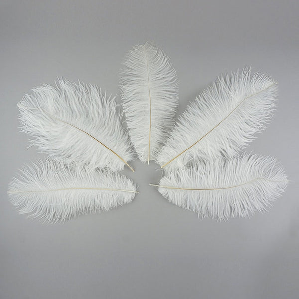 Pluma de avestruz (blanca)