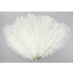 Pluma de avestruz (blanca)