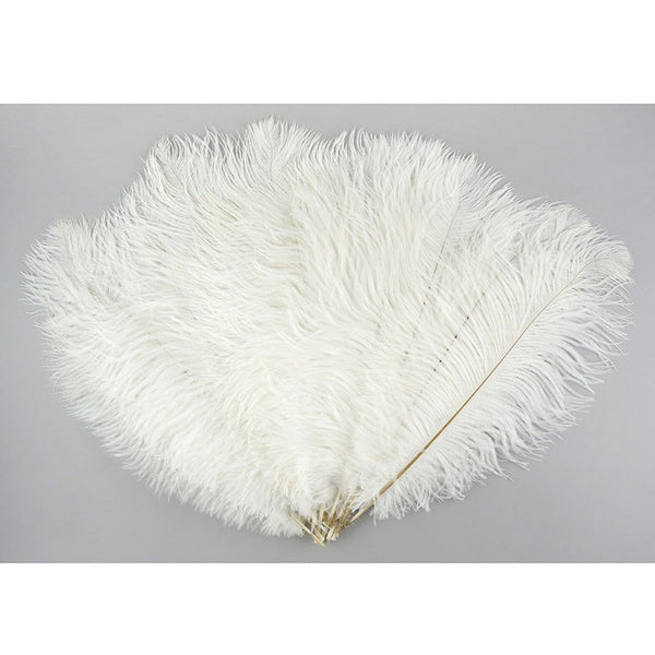 Ostrich Feather (White)