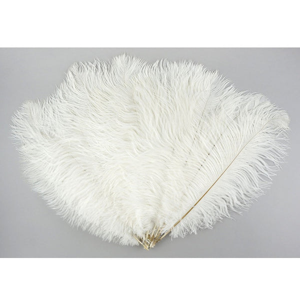 Pluma de avestruz (blanca)