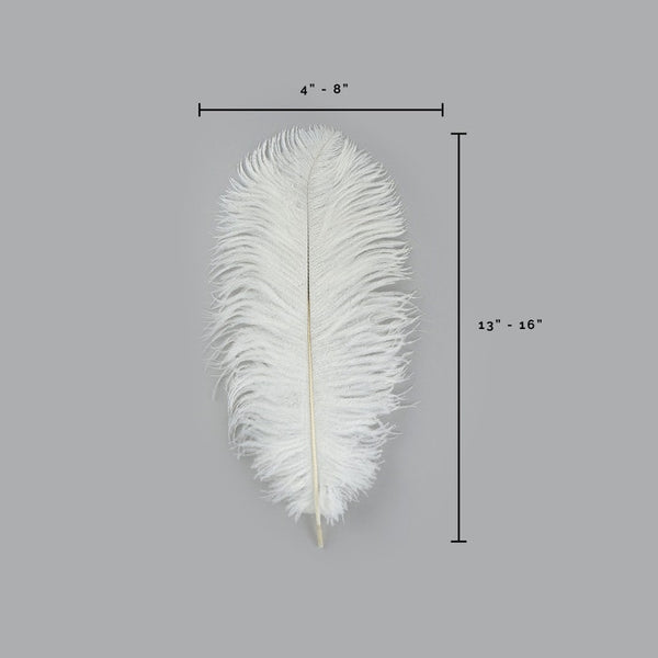 Pluma de avestruz (blanca)
