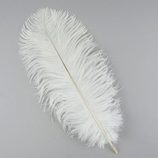 Pluma de avestruz (blanca)