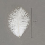 Pluma de avestruz (blanca)