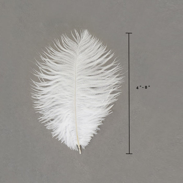 Pluma de avestruz (blanca)